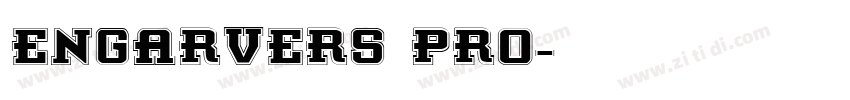 engarvers pro字体转换